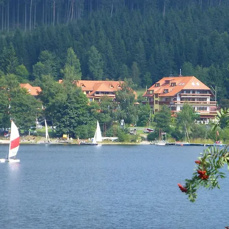 Hotel Auerhahn