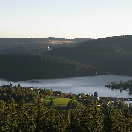 Auerhahn Schluchsee